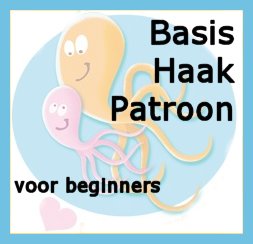 basispatroon beginners